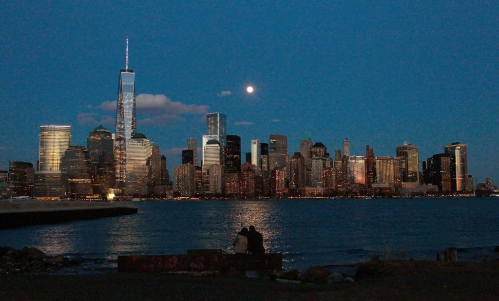 cleaning nyc book online