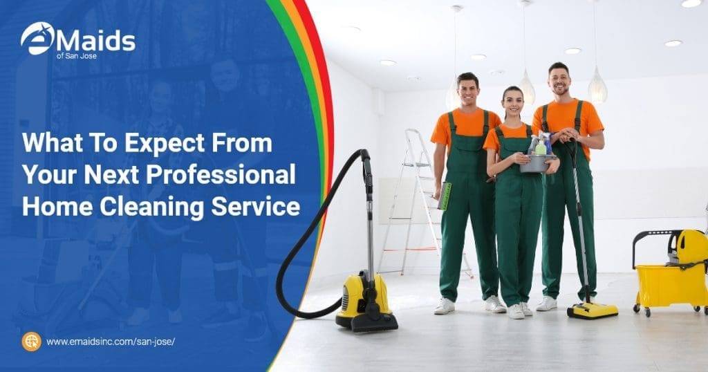 Professional Home Cleaning Service