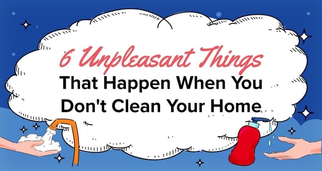 eMaids of Washington 6 unpleasant things that happen when you don't clean your home