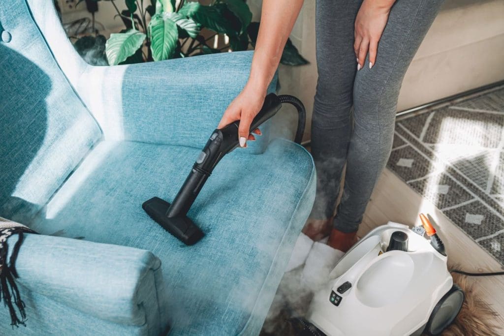 steam cleaning with vinegar